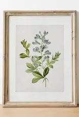 Vintage Botanical Art Print