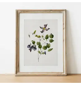 Vintage Botanical Art Print