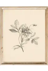 Vintage Flower Art Print 8x10