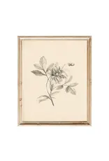 Vintage Flower Art Print 8x10