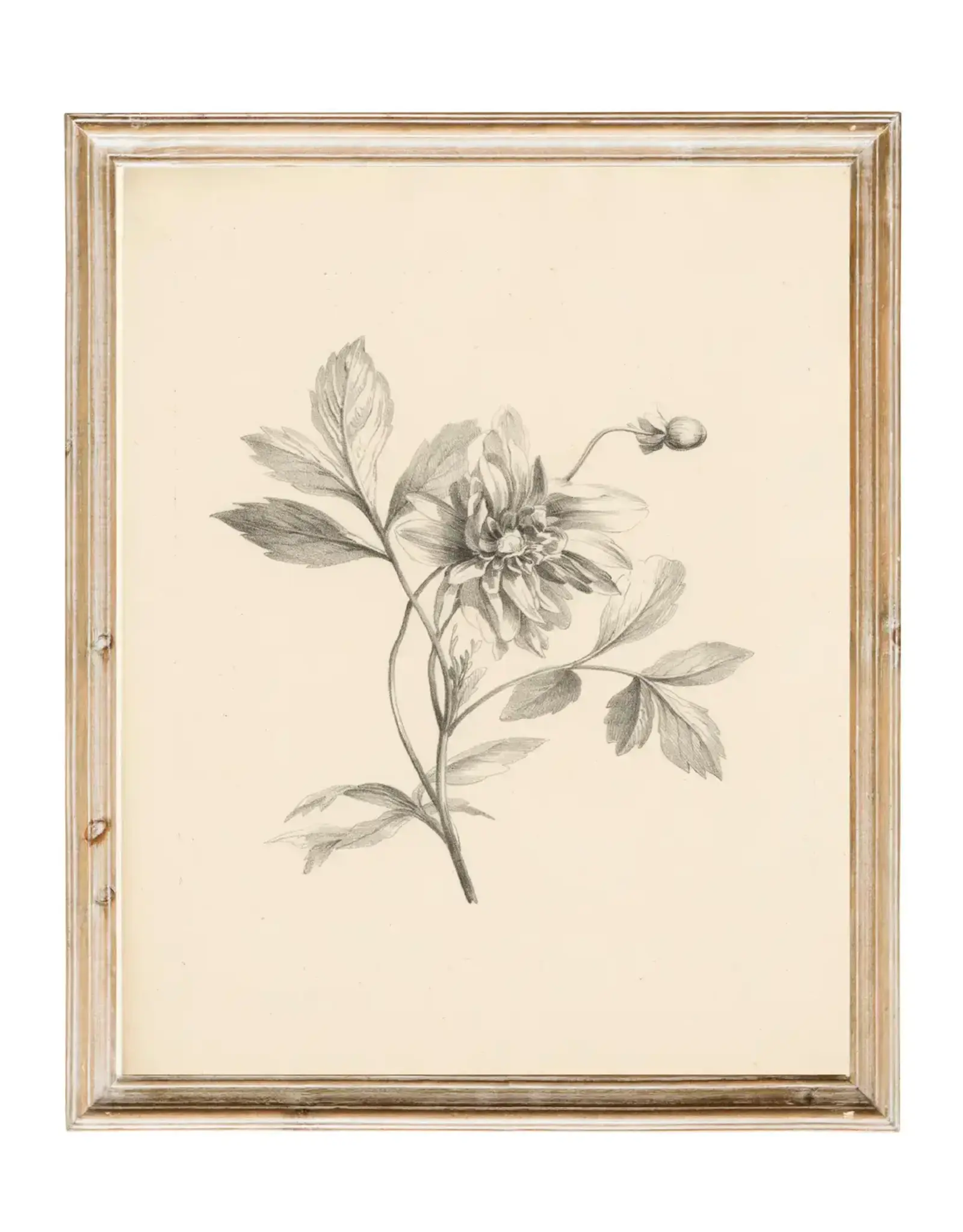 Vintage Flower Art Print 8x10