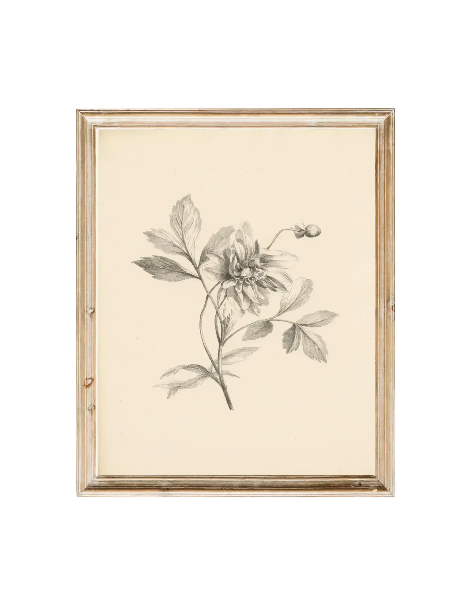 Vintage Flower Art Print 8x10