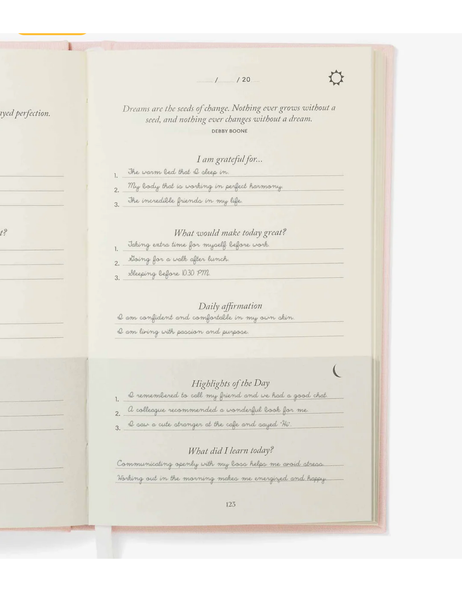 Five Minute Journal, Pink