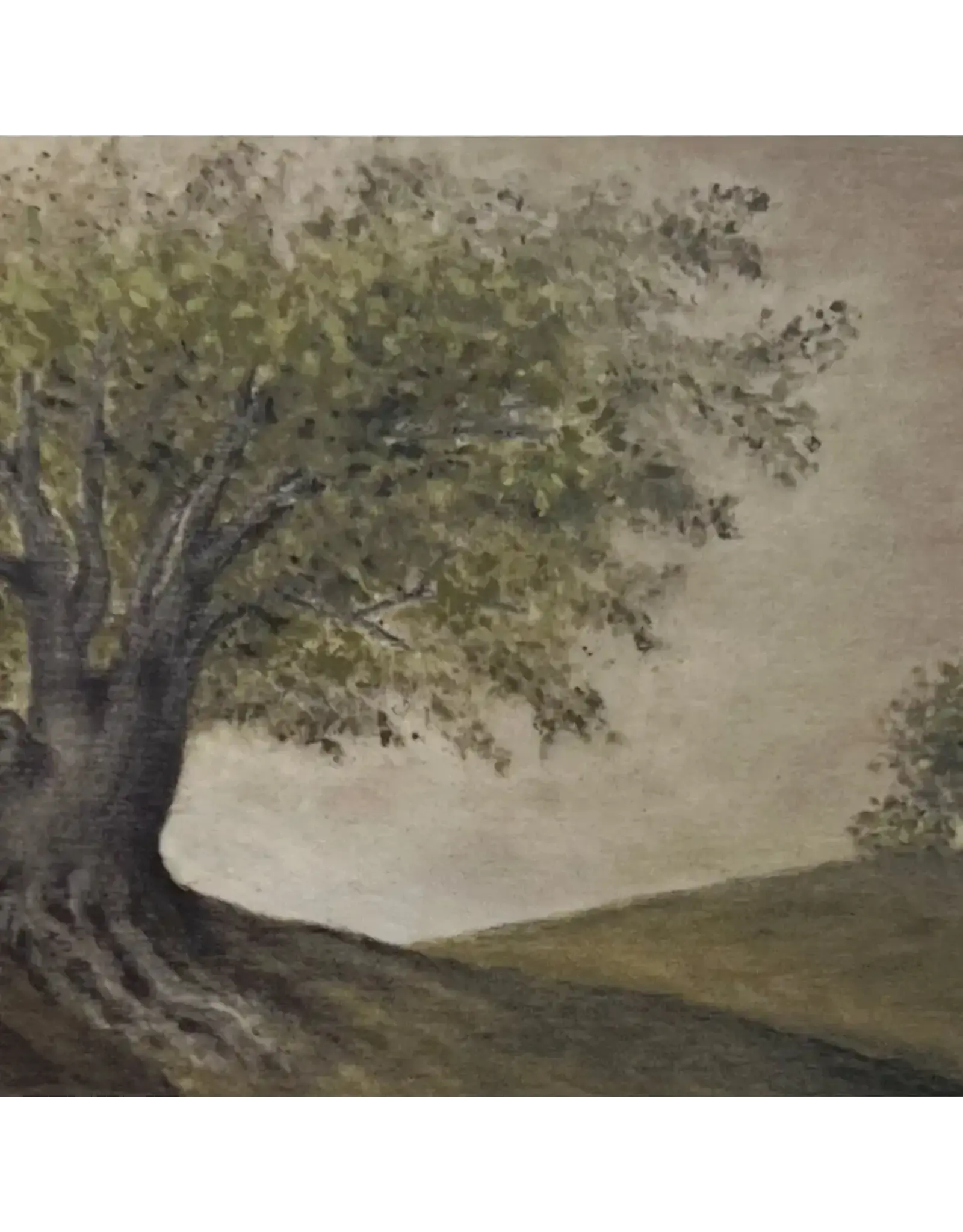 Roots | Fine Art Print, 8.5x11.5