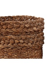 Alyona Basket