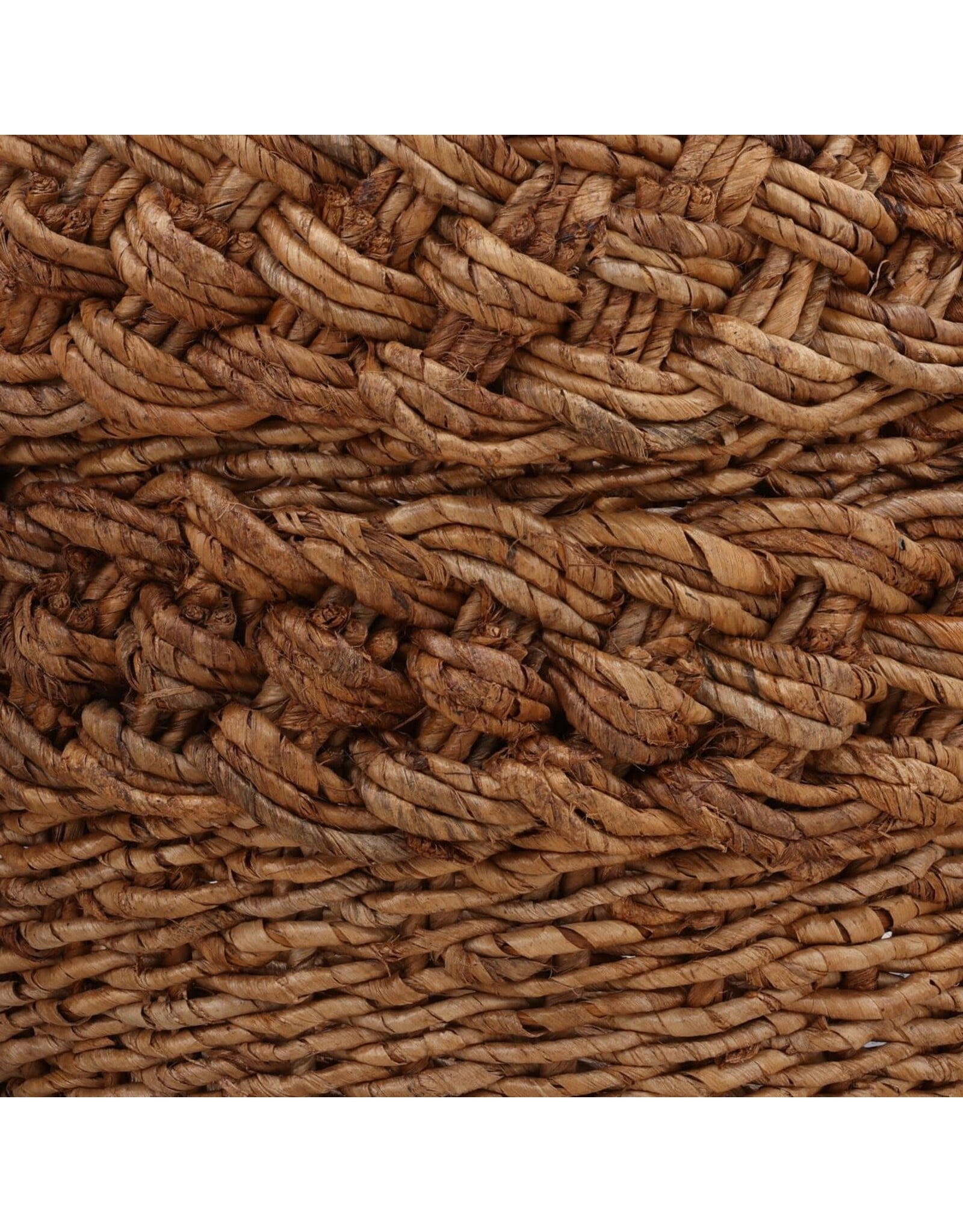 Alyona Basket