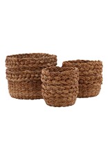 Alyona Basket