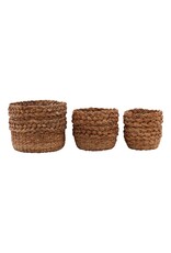 Alyona Basket