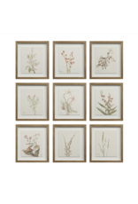 Crema Art Print Set of 9