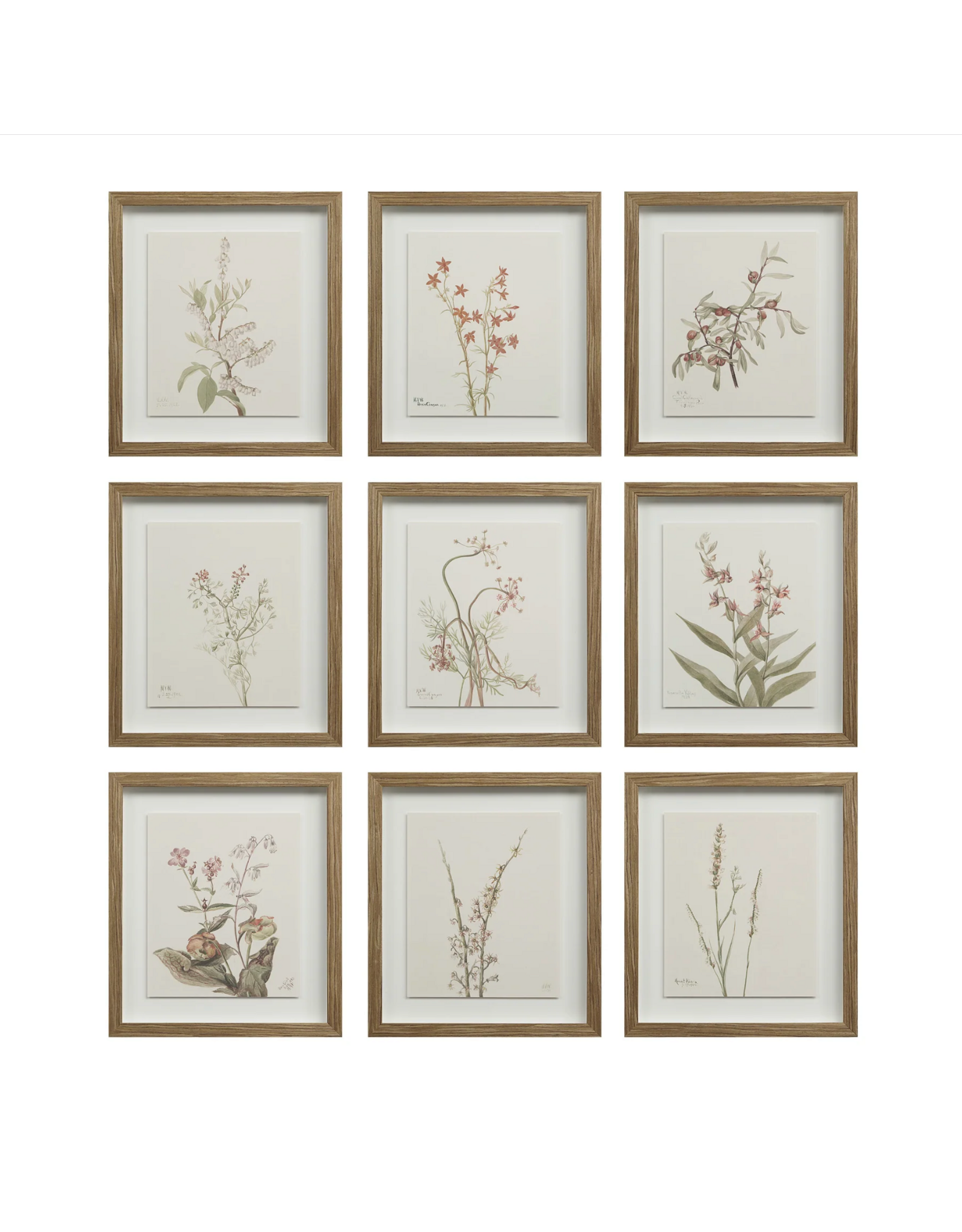 Crema Art Print Set of 9