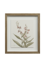 Crema Art Print Set of 9