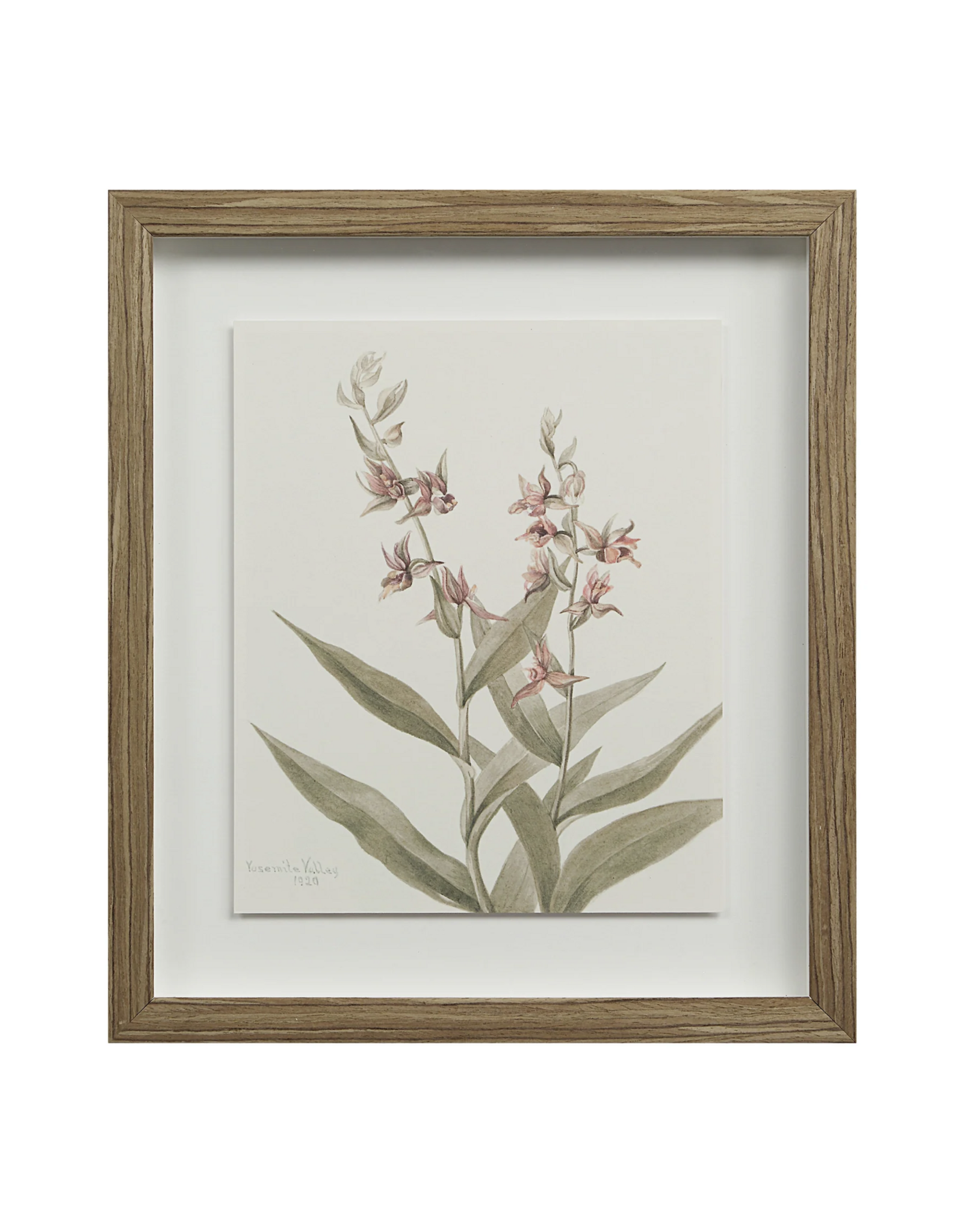 Crema Art Print Set of 9