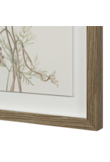 Crema Art Print Set of 9