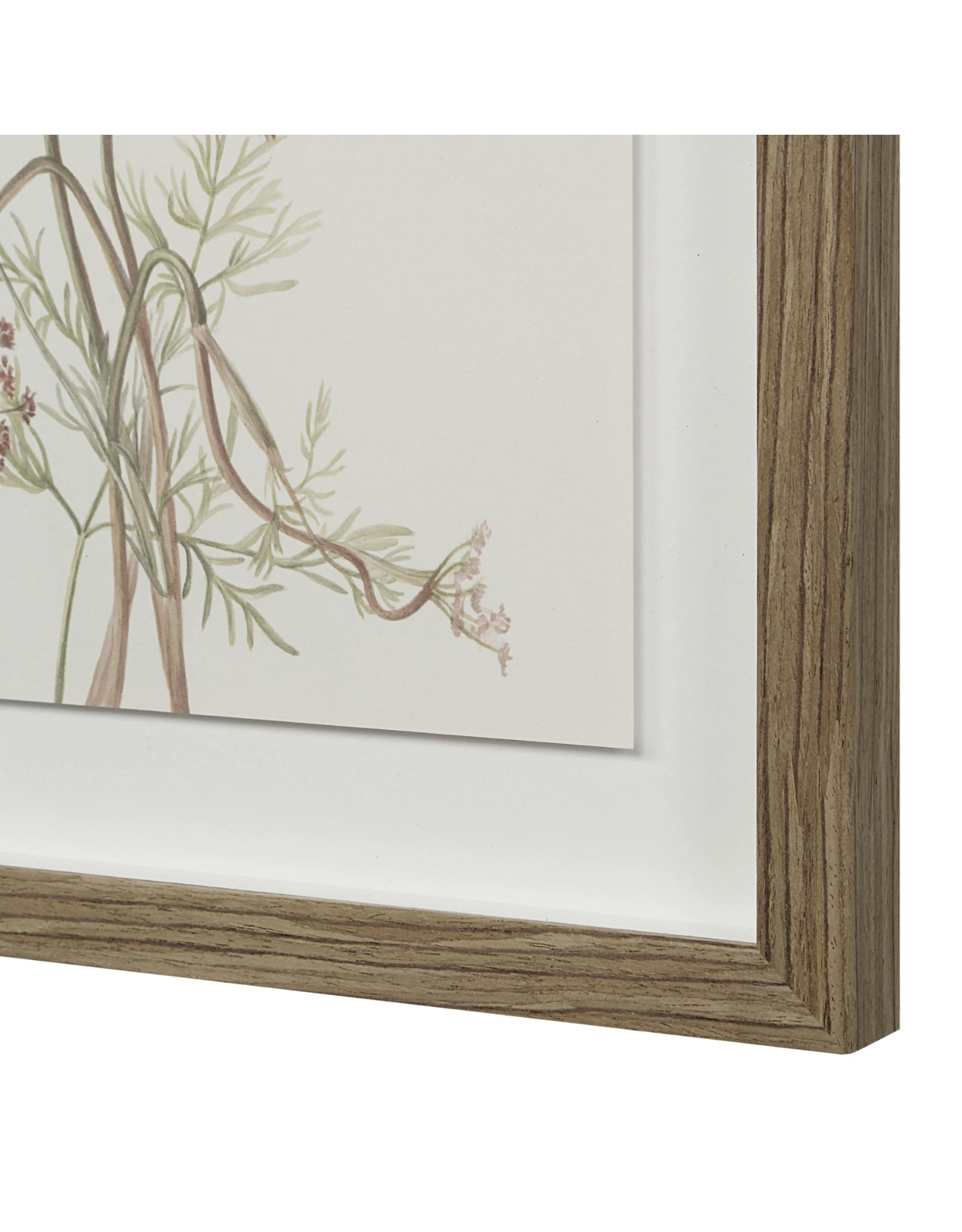 Crema Art Print Set of 9
