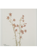 Crema Art Print Set of 9