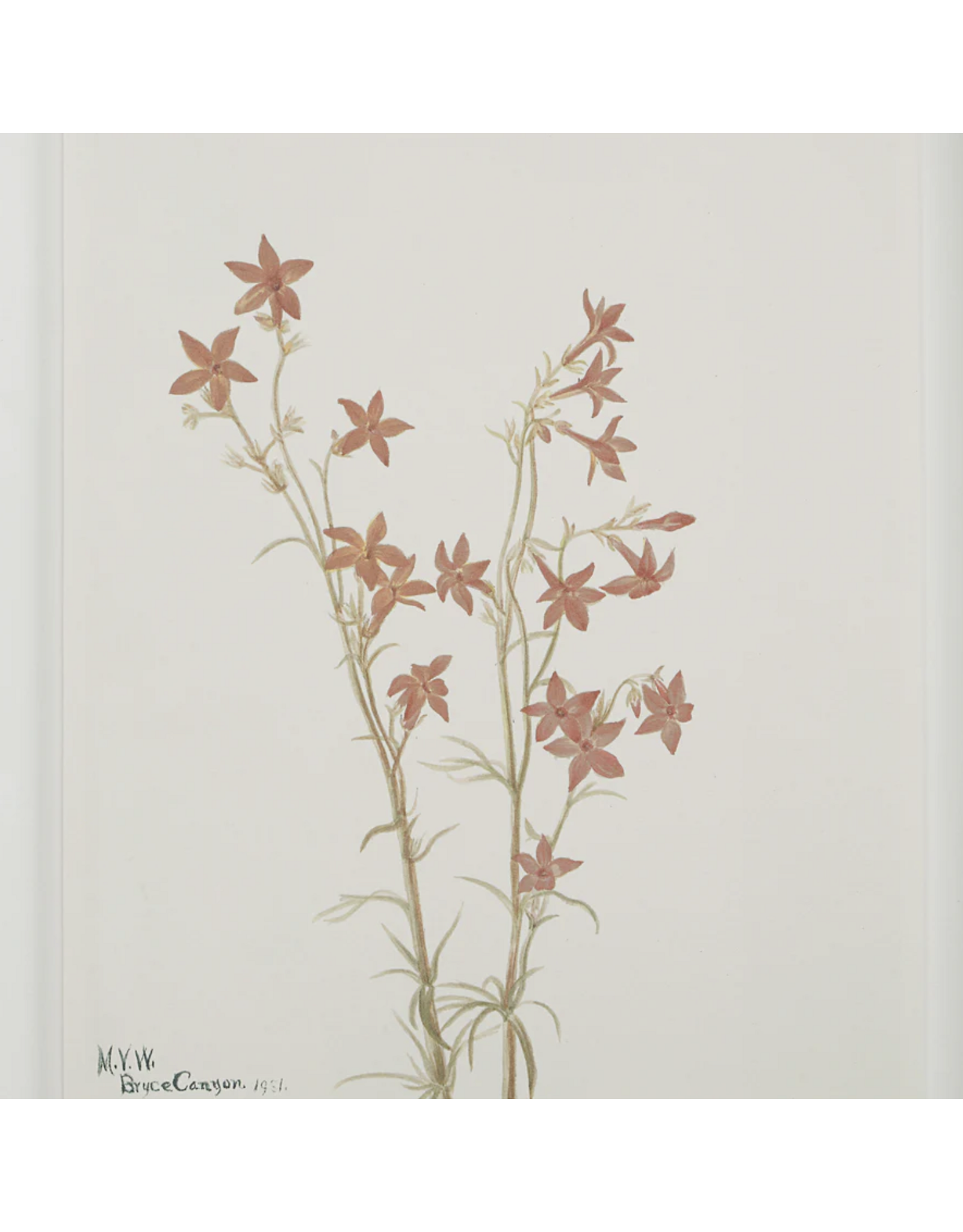 Crema Art Print Set of 9