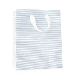 Blue Painted Stripe Gift Bag