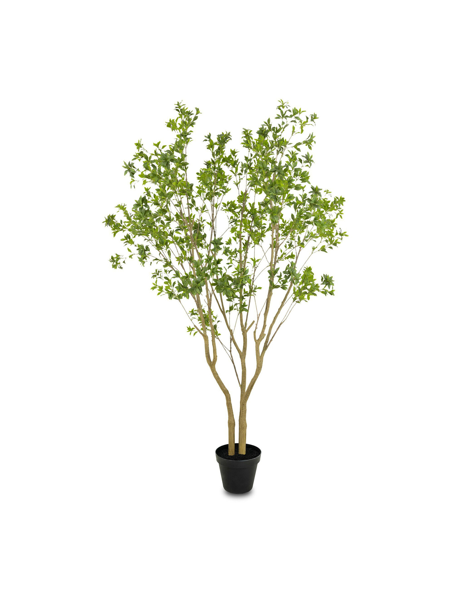 Faux Pieris Tree 9.5 ft