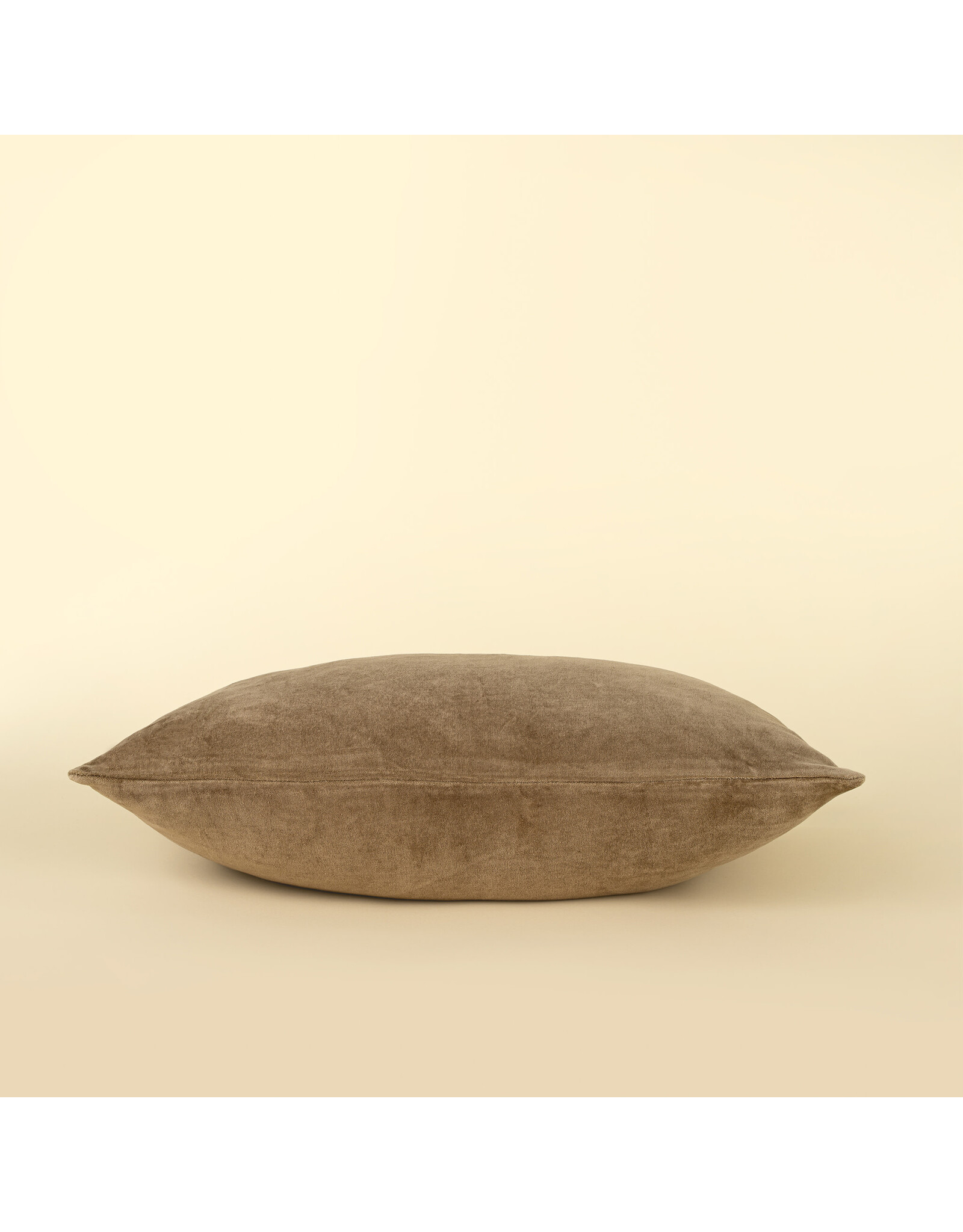 16x24 Vera Luxe Velvet Pillow, Birch