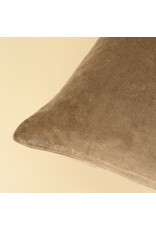 16x24 Vera Luxe Velvet Pillow, Birch