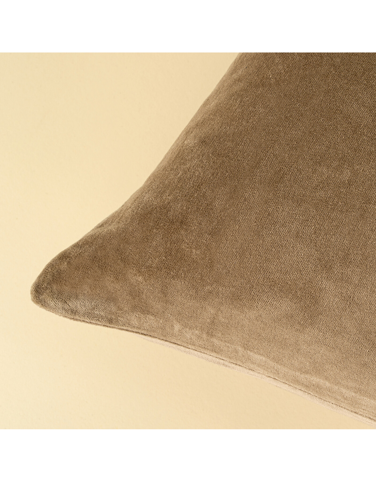 16x24 Vera Luxe Velvet Pillow, Birch