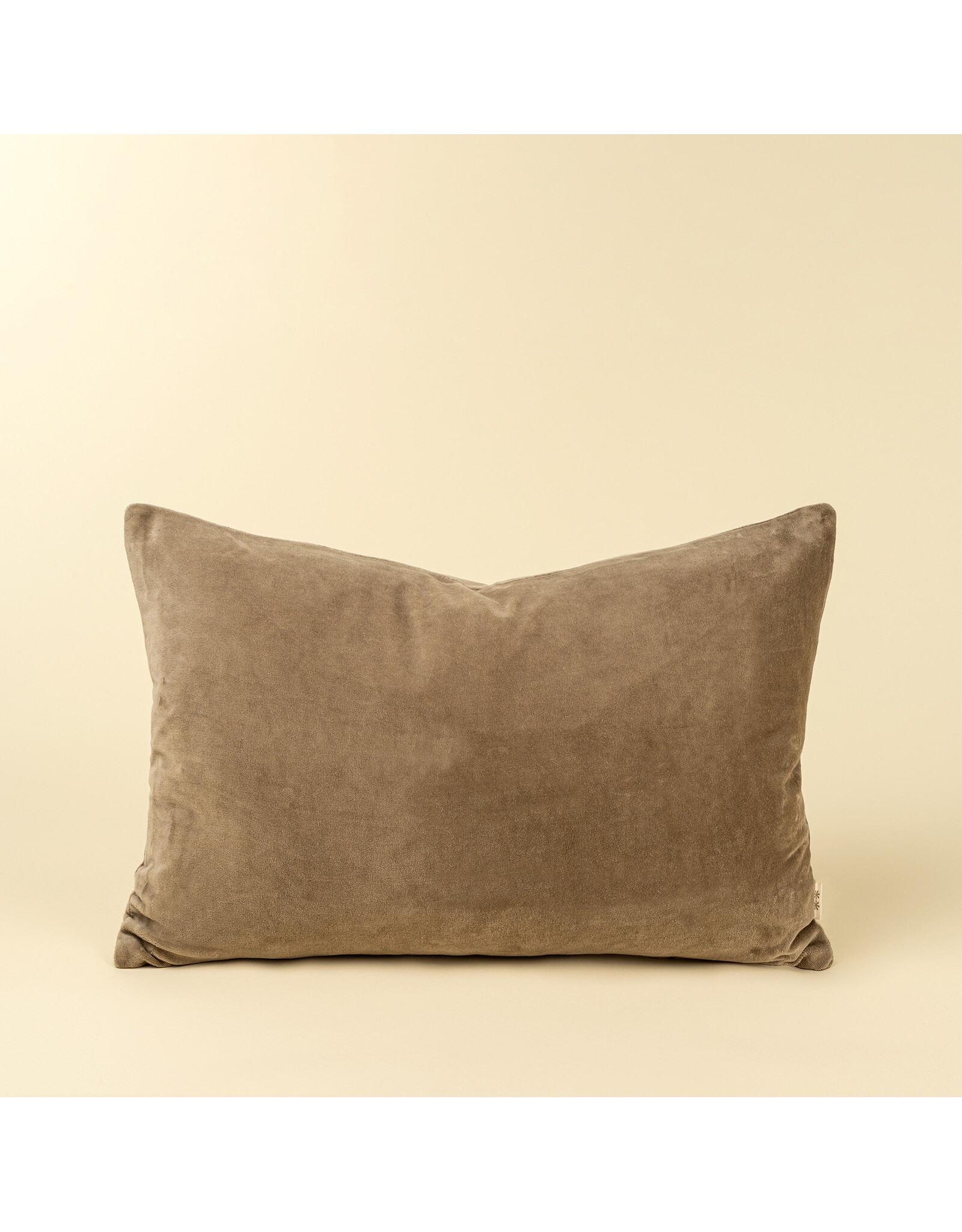 16x24 Vera Luxe Velvet Pillow, Birch