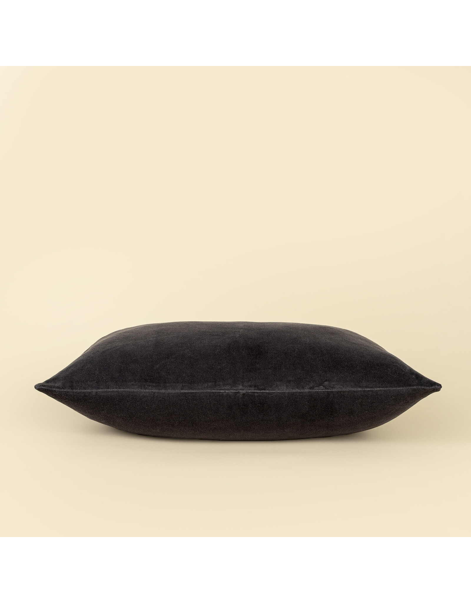 16x24 Vera Luxe Velvet Pillow, Birch