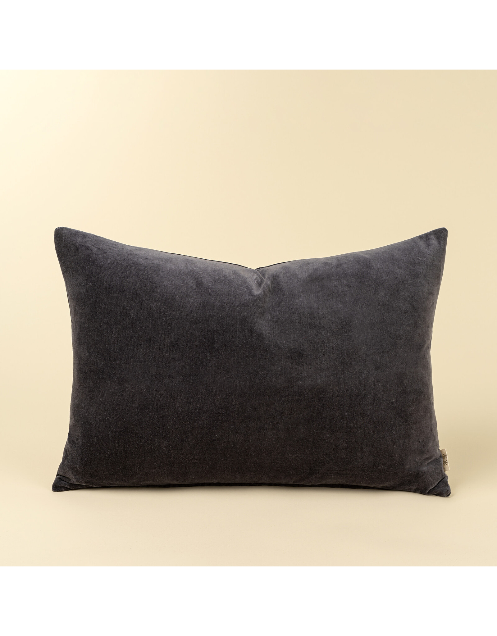 16x24 Vera Luxe Velvet Pillow, Birch