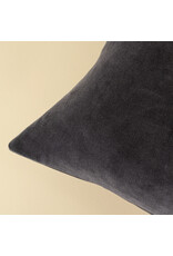 16x24 Vera Luxe Velvet Pillow, Birch