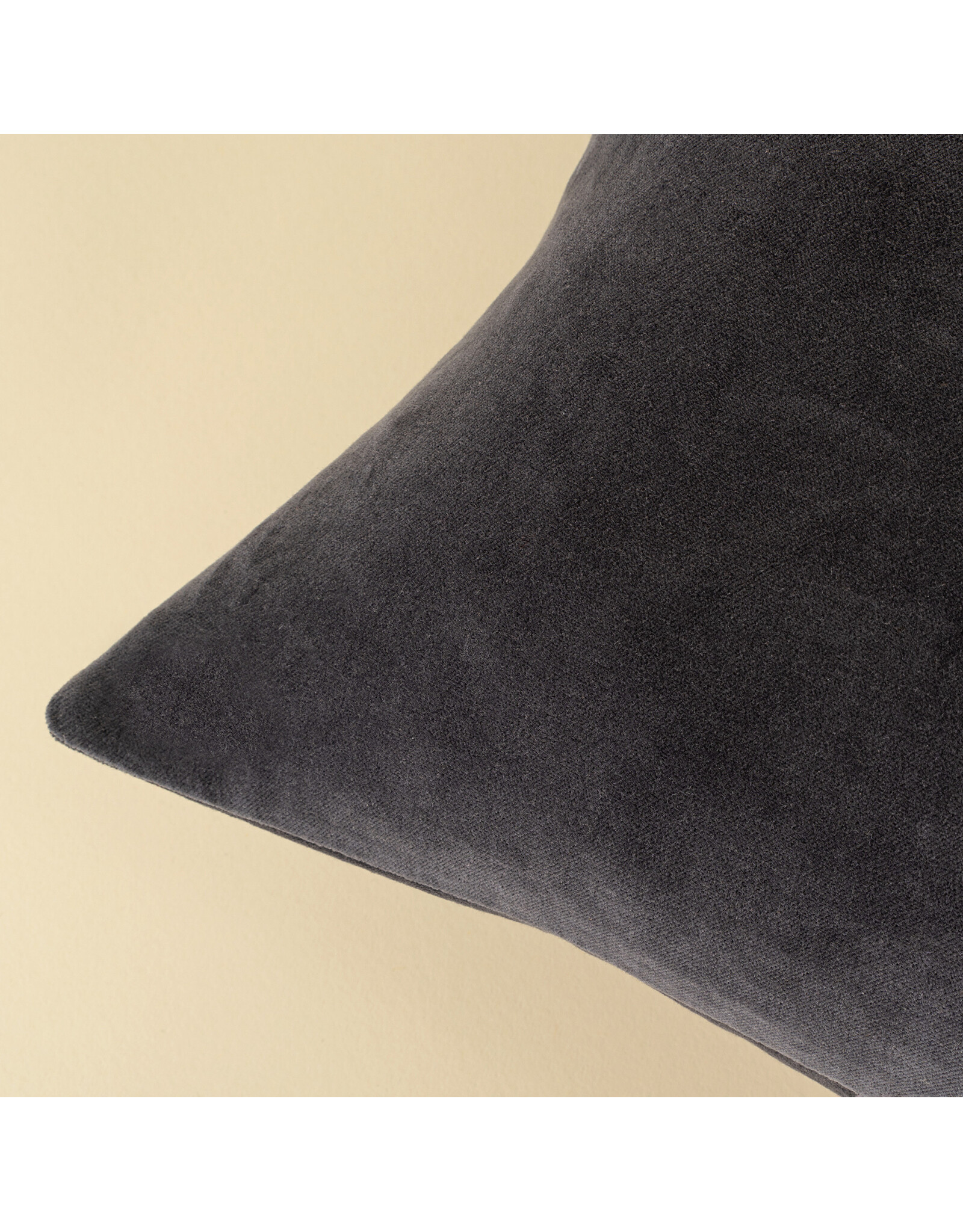 16x24 Vera Luxe Velvet Pillow, Birch