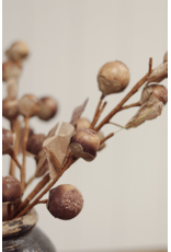 Autumn Nut Spray