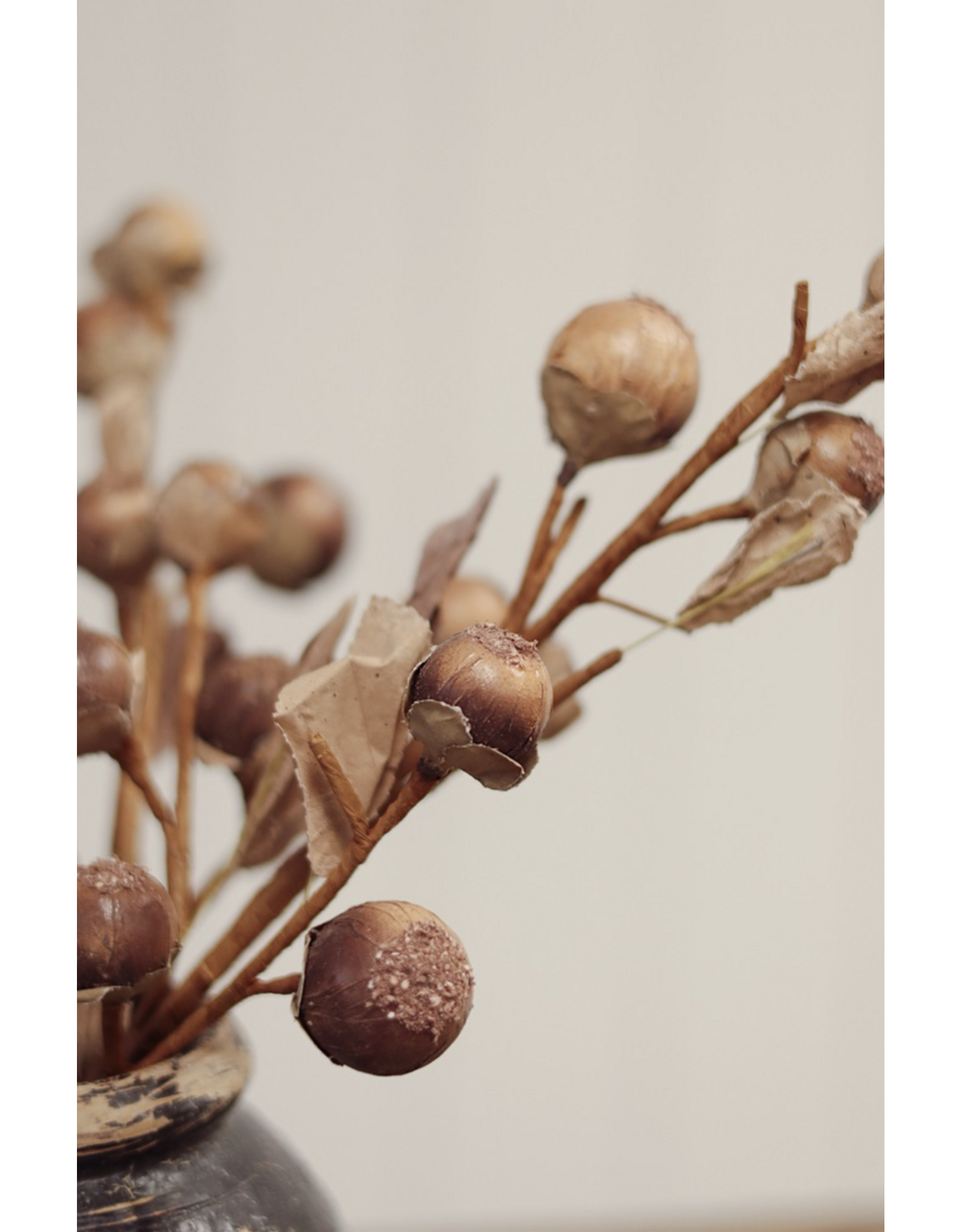 Autumn Nut Spray