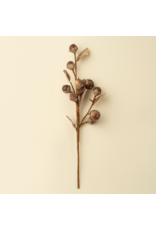 Autumn Nut Spray