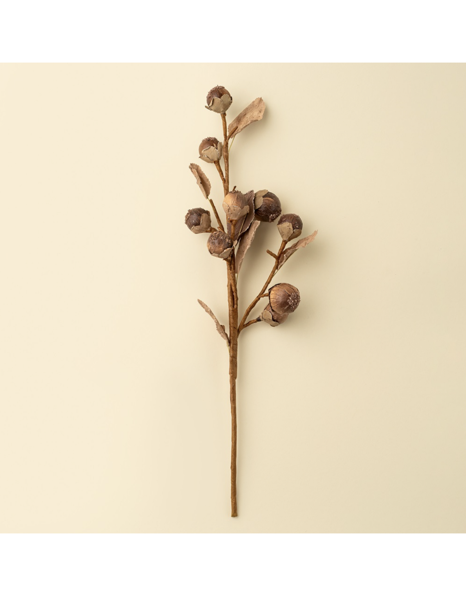 Autumn Nut Spray