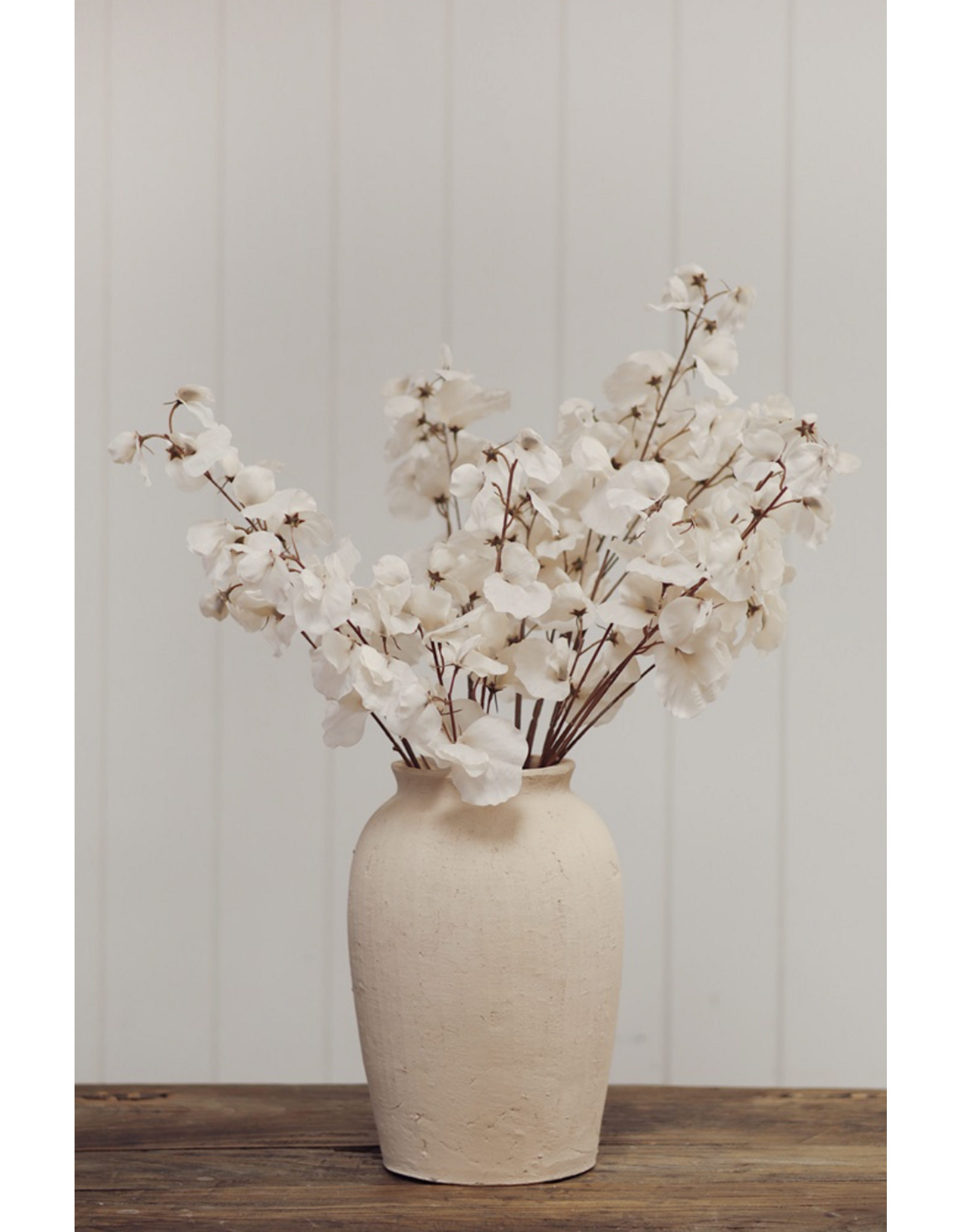 Sweet Pea Stem - White