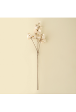 Sweet Pea Stem - White