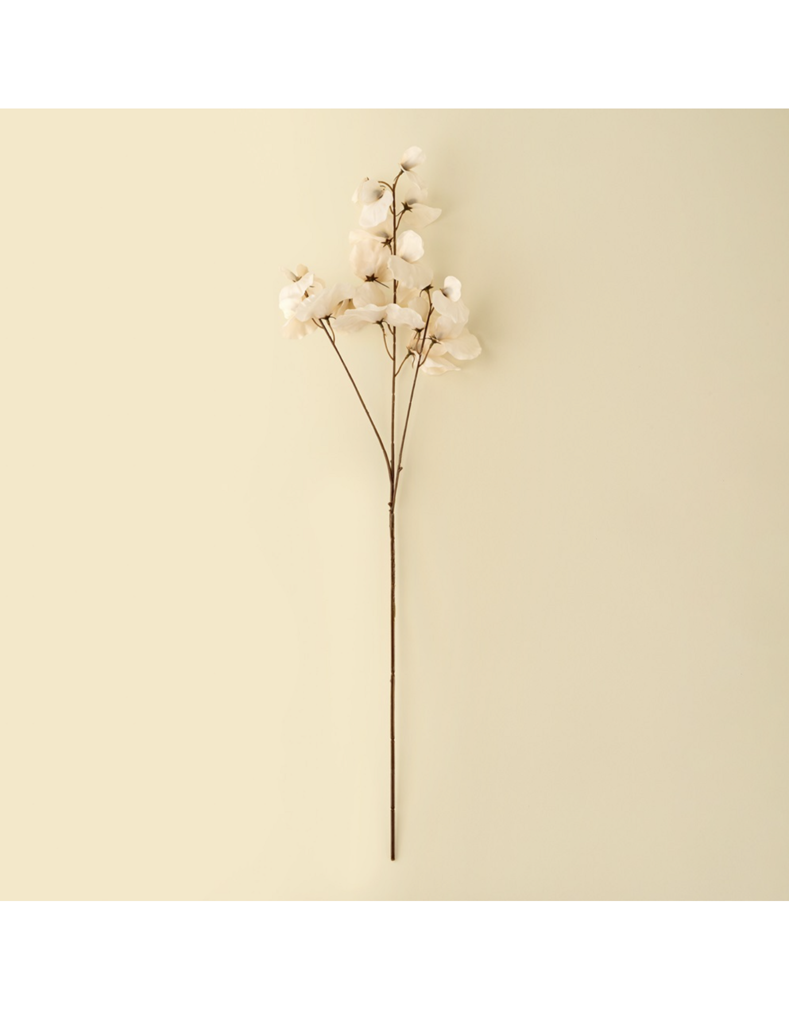 Sweet Pea Stem - White