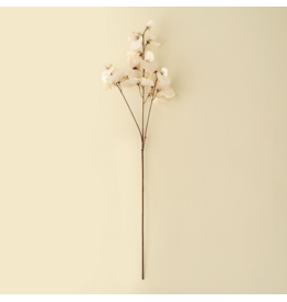 Sweet Pea Stem - White