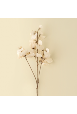 Sweet Pea Stem - White
