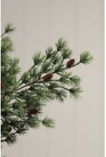 Winter Grove Spray