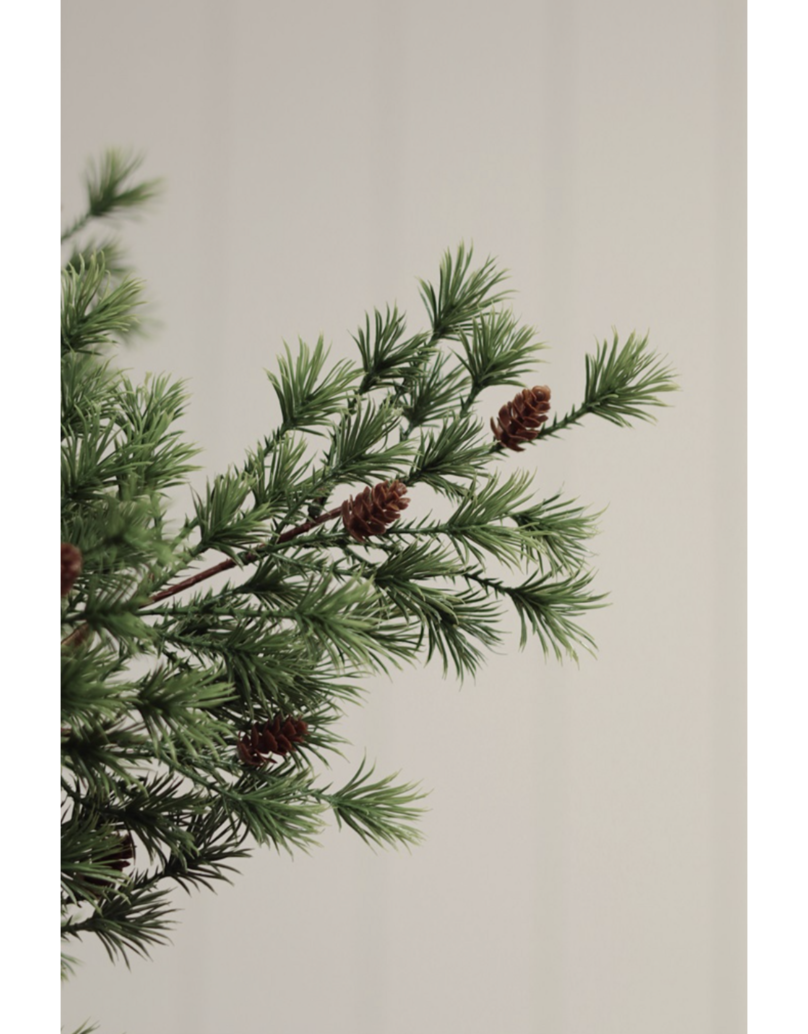 Winter Grove Spray