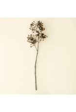 Hipericum Spray