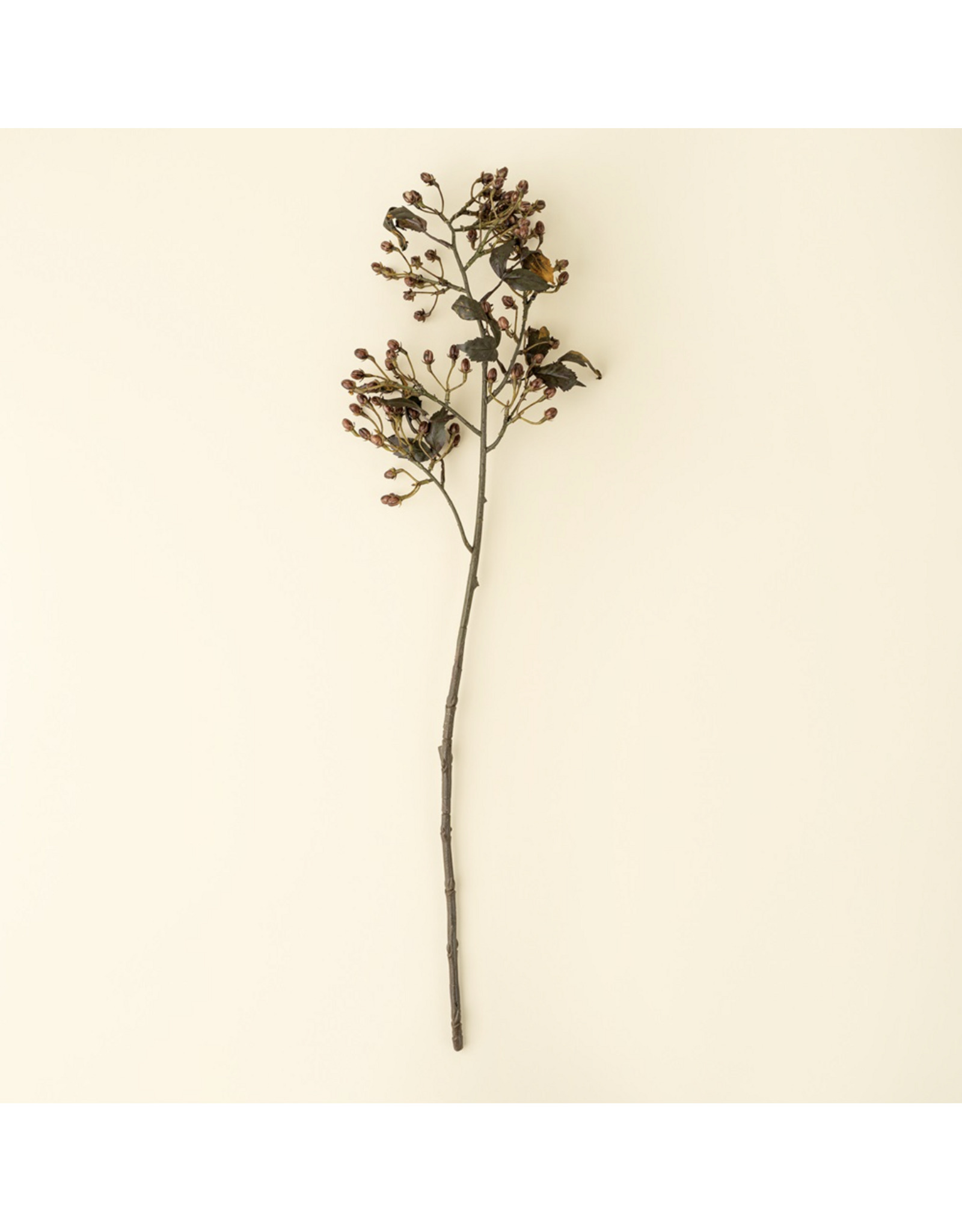 Hipericum Spray