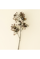Hipericum Spray