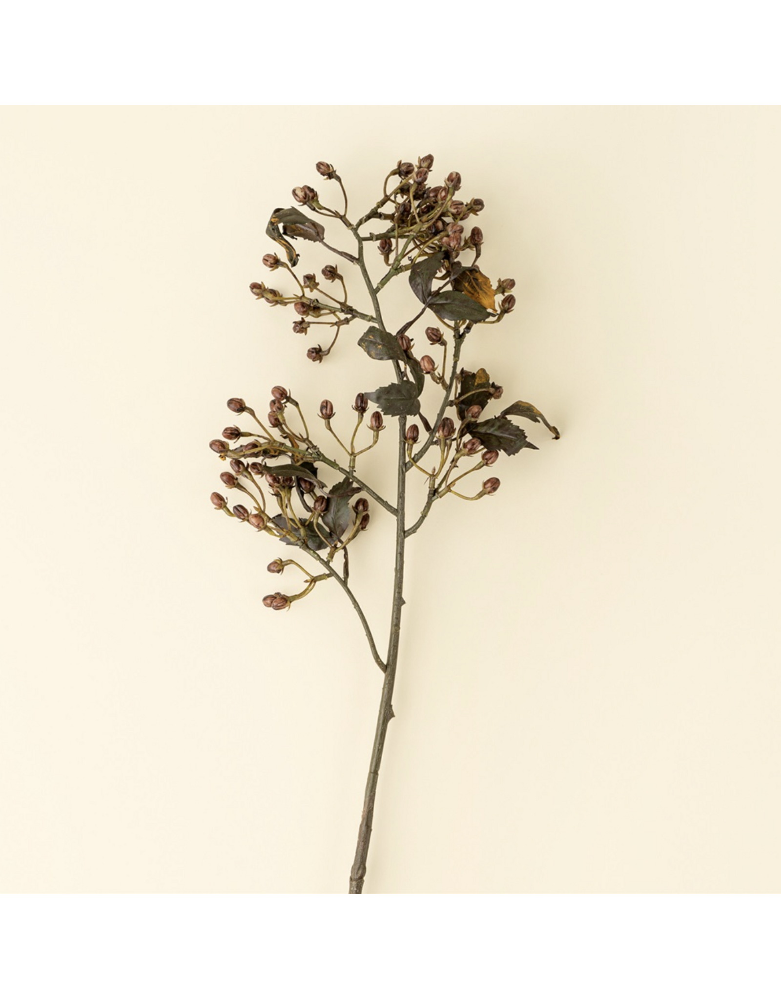 Hipericum Spray
