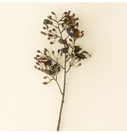 Hipericum Spray