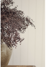Dripping Dried Berry Spray