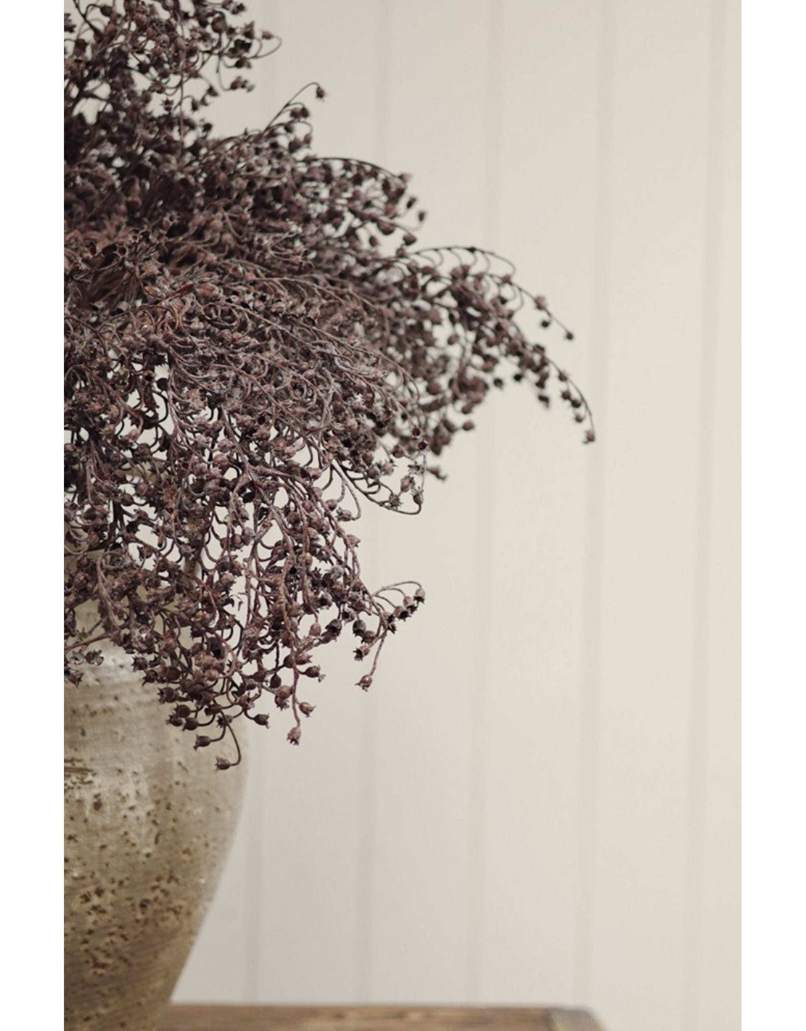 Dripping Dried Berry Spray