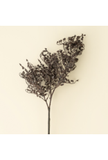 Dripping Dried Berry Spray