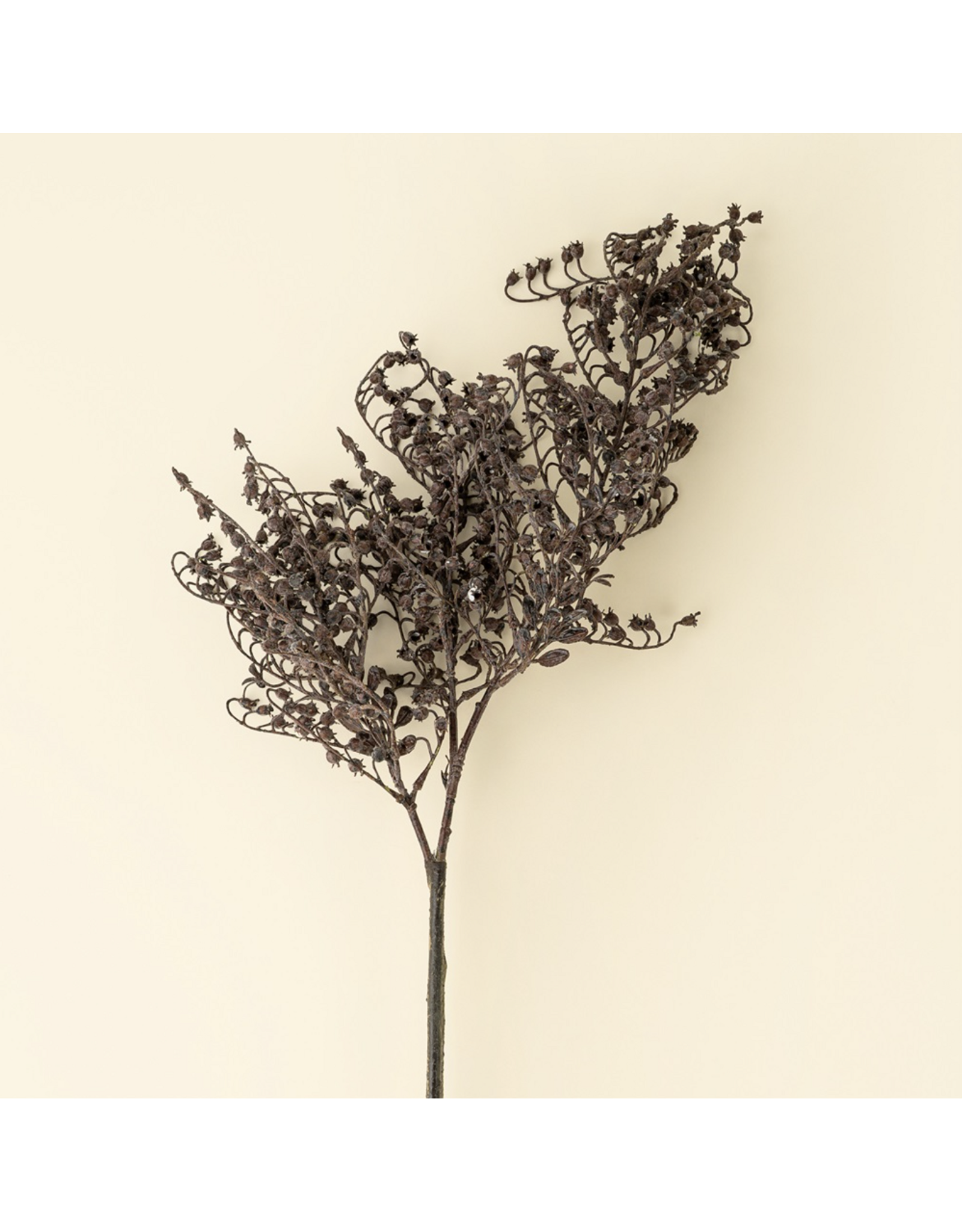 Dripping Dried Berry Spray